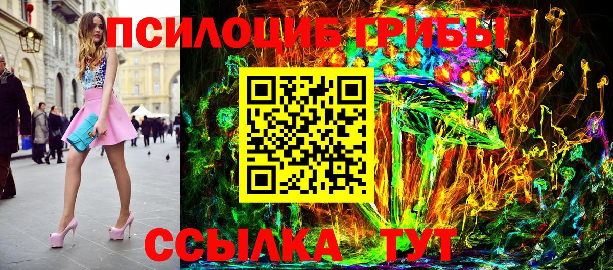 Железногорск  Псилоцибиновые грибы мицелий  Вход с VPN 