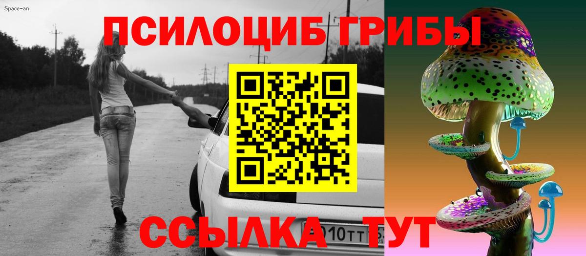 Псилоцибиновые грибы мицелий Железногорск
